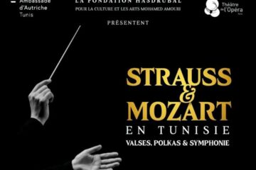 L’Orchestre Symphonique de Vienne